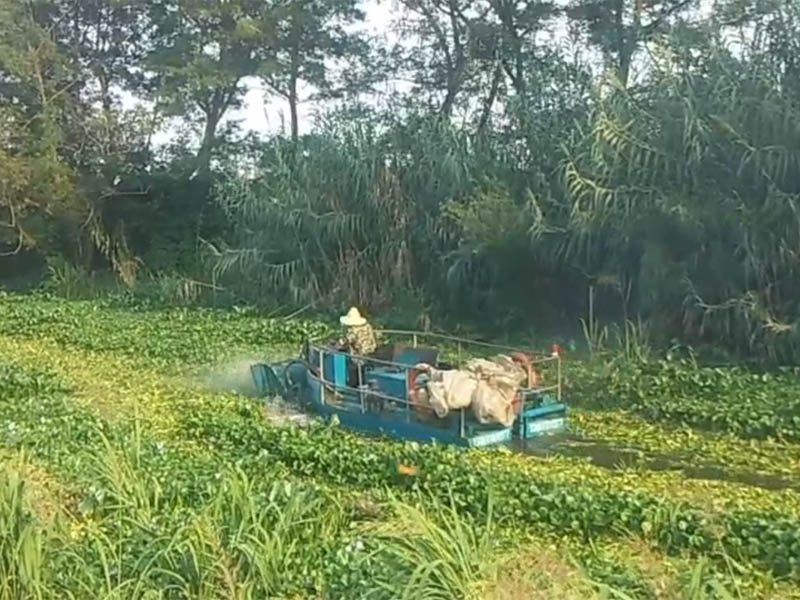 水葫芦打捞船